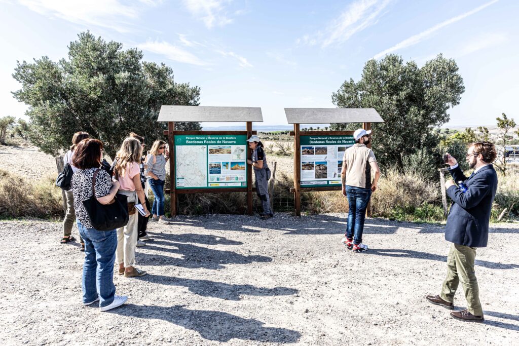 DMP GROUPE HOLDING - BUREAU PRESSE